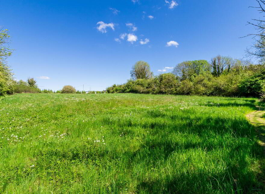 Cloonslanor, Strokestown, F42PW62