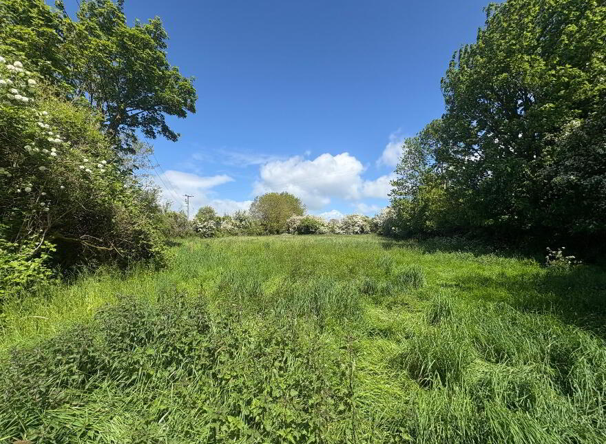 Carrigpark, Mallow, P51E5YV