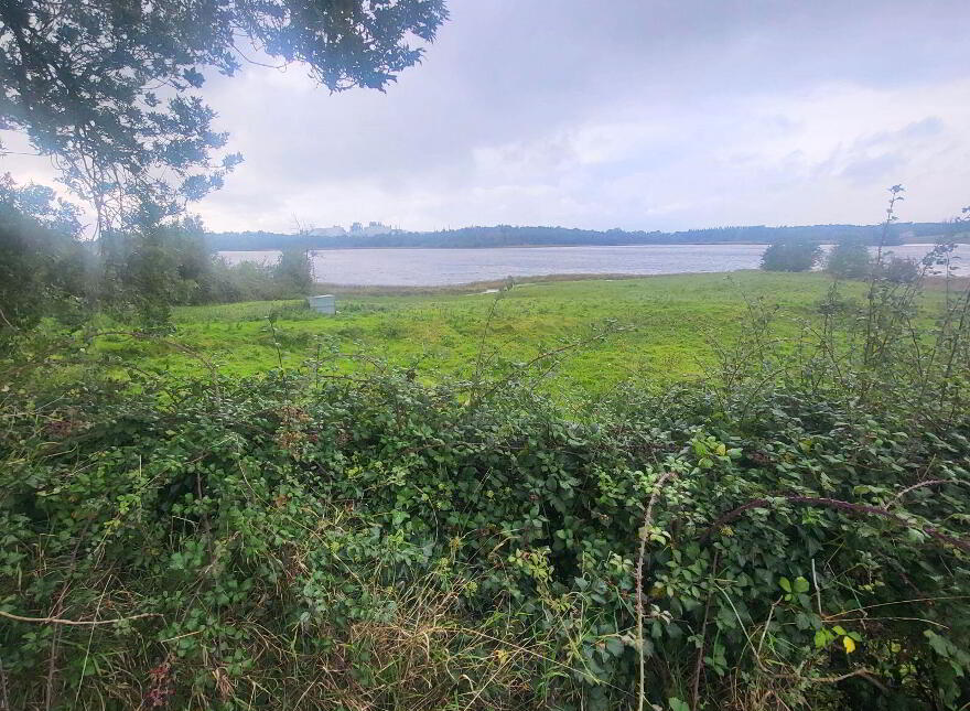 Lakeview Corrick, Annaduff, N41FK50