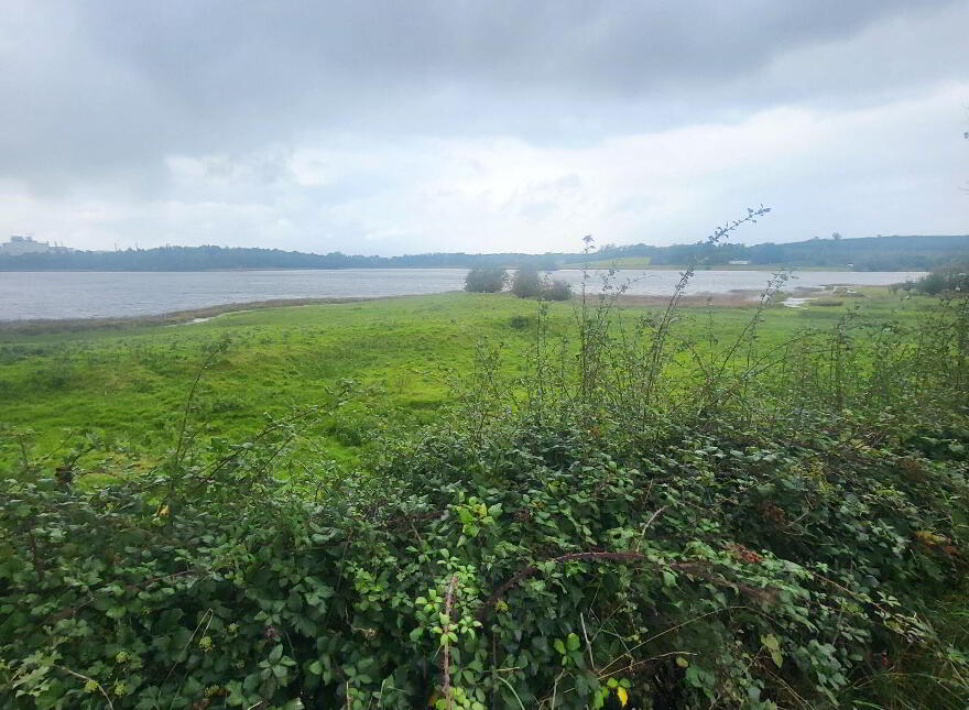 Lakeview Corrick, Annaduff, N41FK50