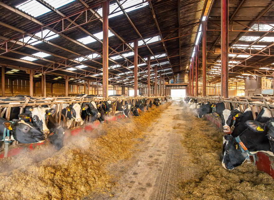 Carse Hall Farm, 50 Carse Road, Limavady, BT49 9DX
