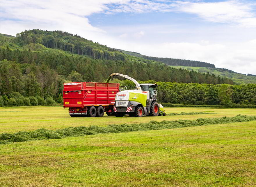 Carse Hall Farm, 50 Carse Road, Limavady, BT49 9DX