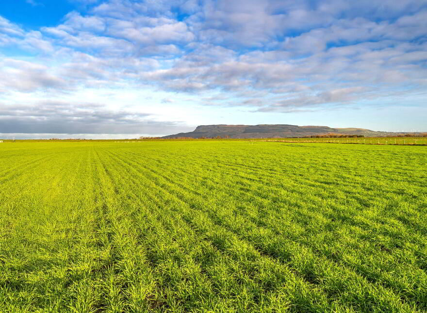 Carse Hall Farm, 50 Carse Road, Limavady, BT49 9DX