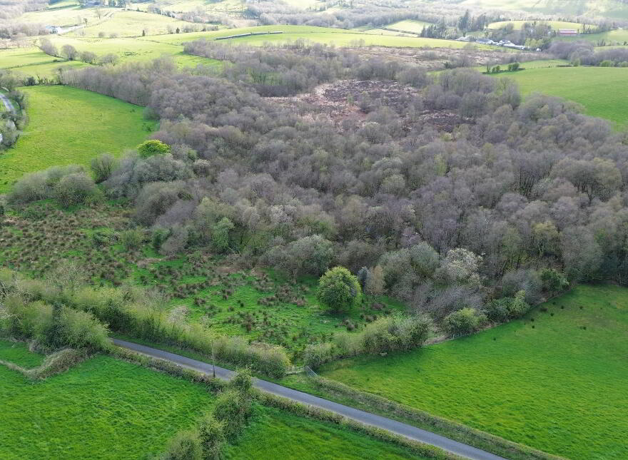 C. 4.5 Acre Site @, 10 Burrow Road, Omagh, BT78 5LD