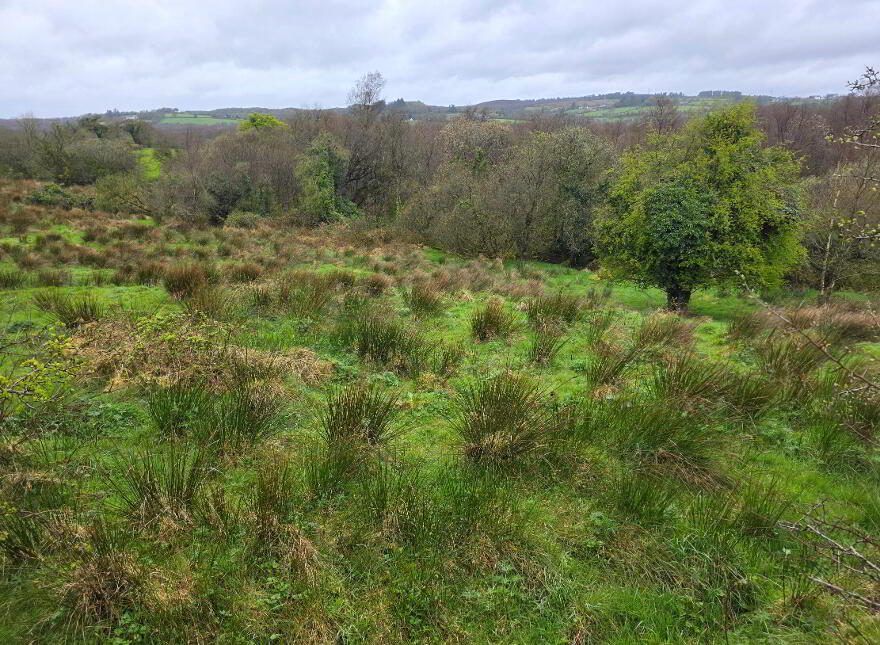 C. 4.5 Acre Site @, 10 Burrow Road, Omagh, BT78 5LD