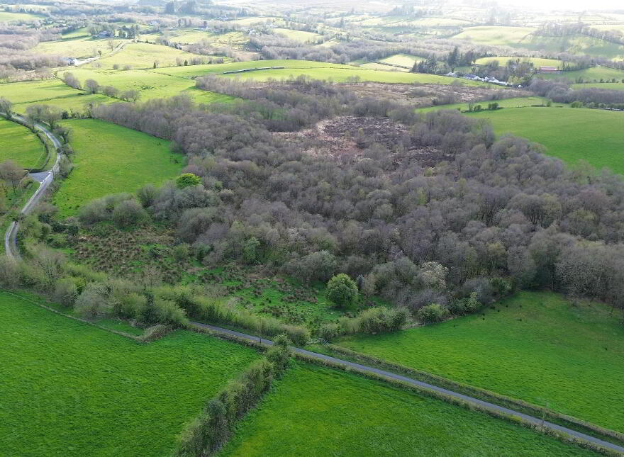 C. 4.5 Acre Site @, 10 Burrow Road, Omagh, BT78 5LD