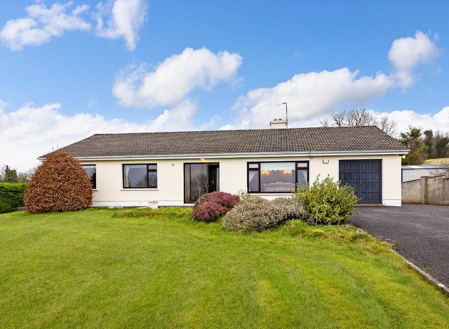 Ballygawley Village, Ballygawley, F91D744 photo