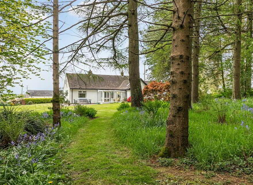The Hollow, 14 Tullyrusk Road, Dundrod, Crumlin, BT29 4JA