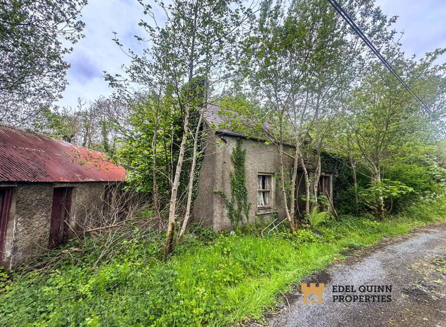 Tawnagh, Donegal Town