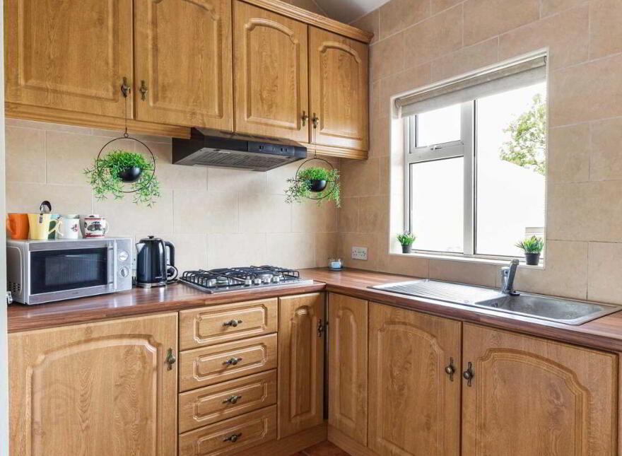 Bogroad, Oristown, Oristown, A82P586