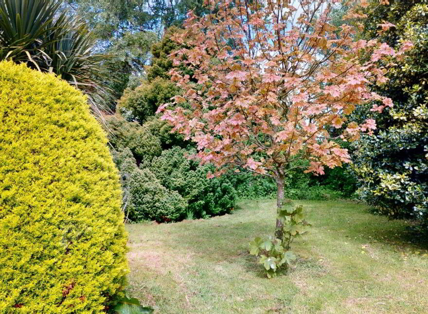 Coolroe Lodge, Dunbrody, Campile, Y34XR50
