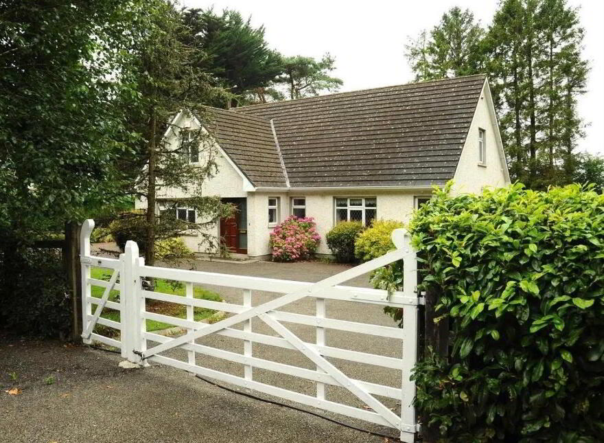 Roosky New, Rooskey, Rooskey, N41VF53
