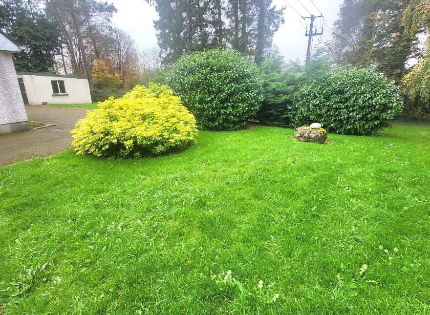 Roosky New, Rooskey, Rooskey, N41VF53