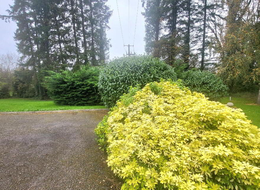 Roosky New, Rooskey, Rooskey, N41VF53