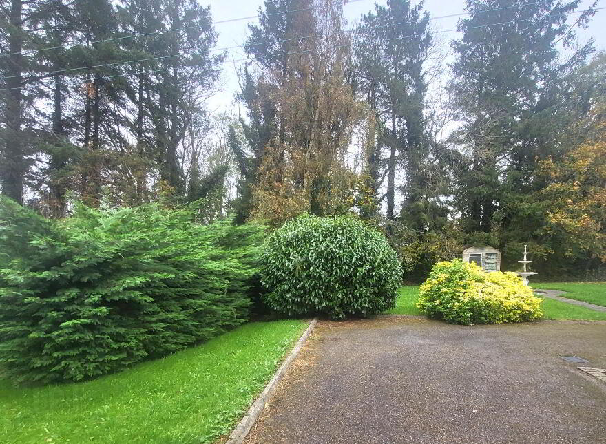 Roosky New, Rooskey, Rooskey, N41VF53