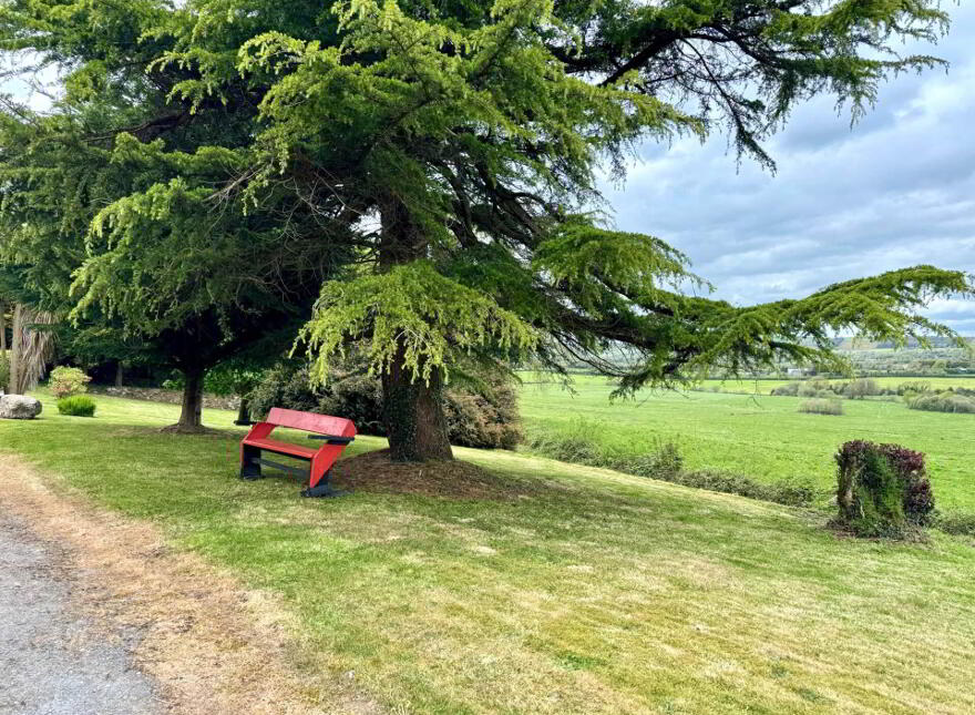 Boherboy, Cloneen, Clonmel, E91YE29
