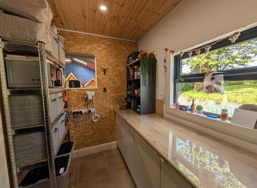 Blackthorn, Carrowntawy, Ballinacarrow, F56P620