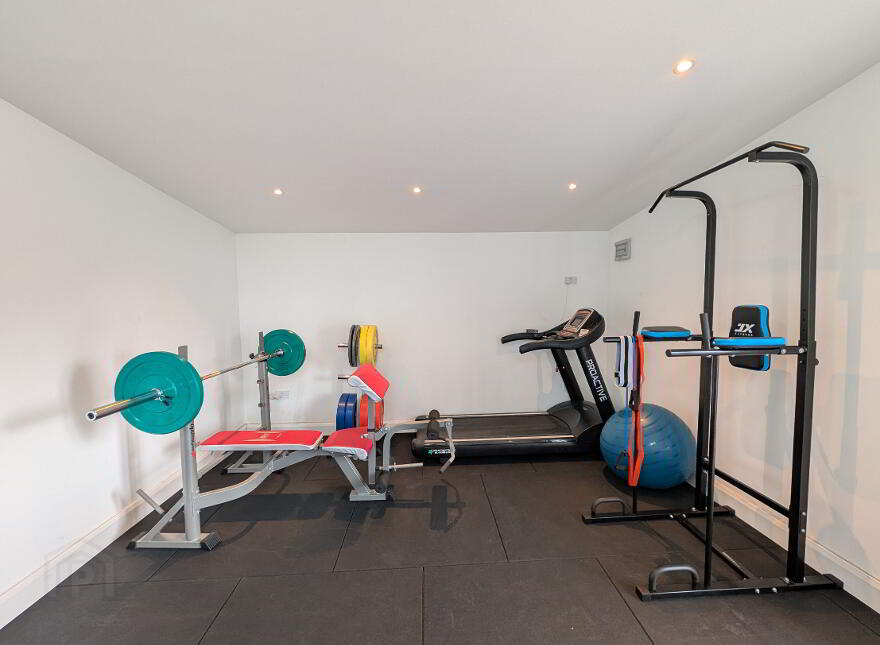Blackthorn, Carrowntawy, Ballinacarrow, F56P620