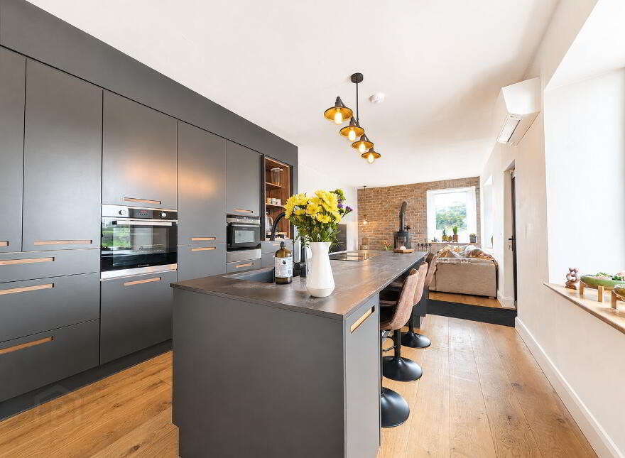 Blackthorn, Carrowntawy, Ballinacarrow, F56P620