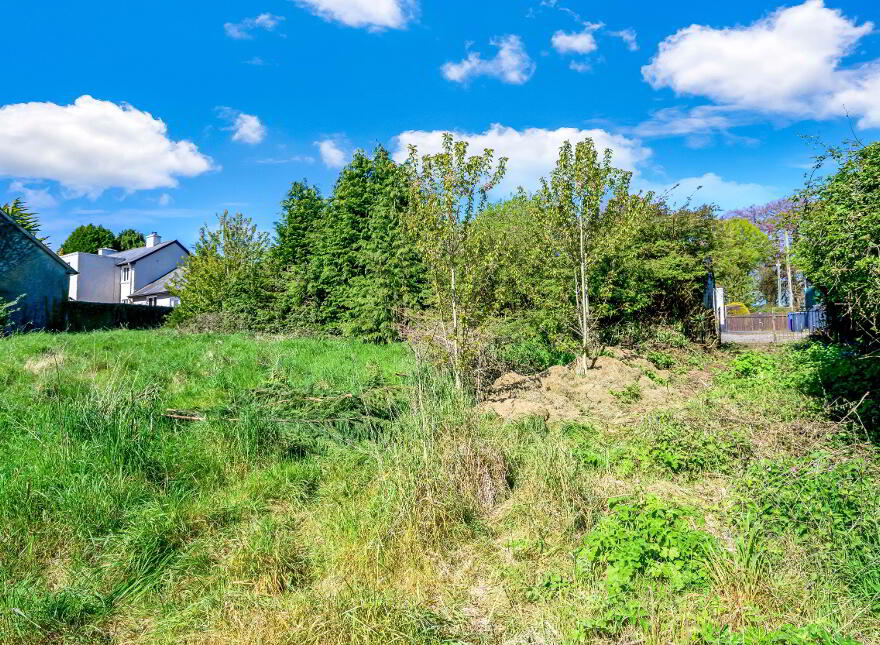 Castletown, Delvin, N91VX47