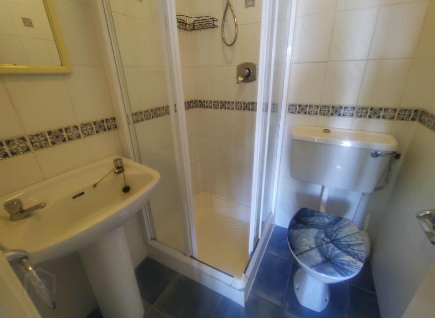 14 The Orchards, Ashbourne Avenue, South Circular Road, V94T3FR