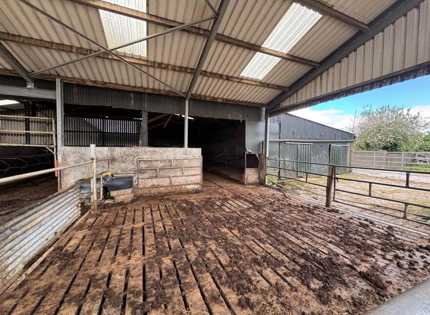 Moher, Ballyporeen, E21K798