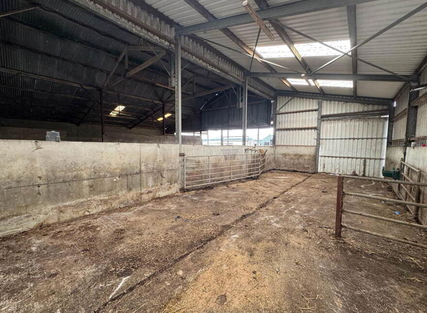 Moher, Ballyporeen, E21K798