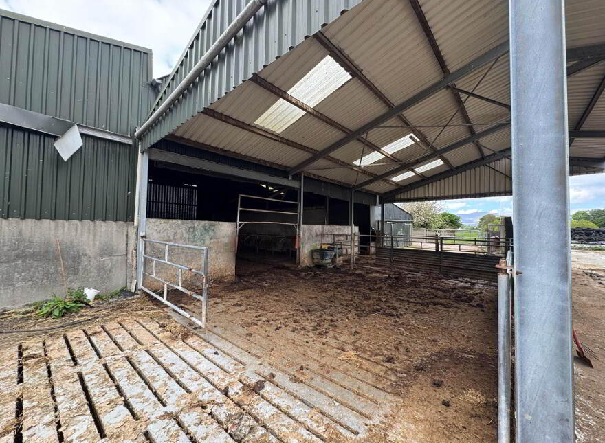Moher, Ballyporeen, E21K798