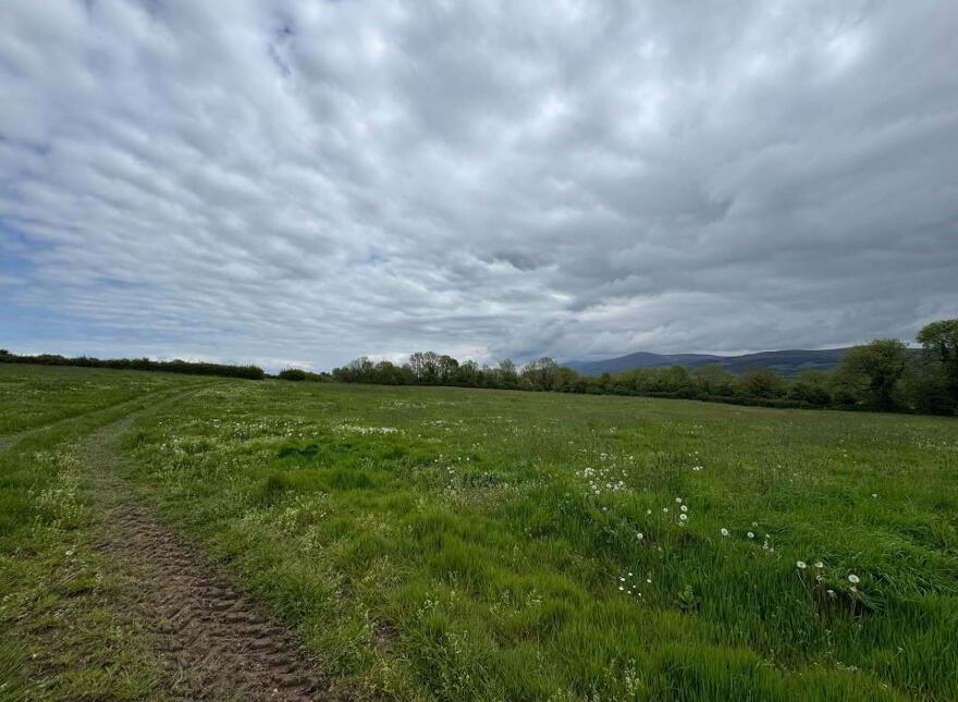 Dangan, Ballyporeen
