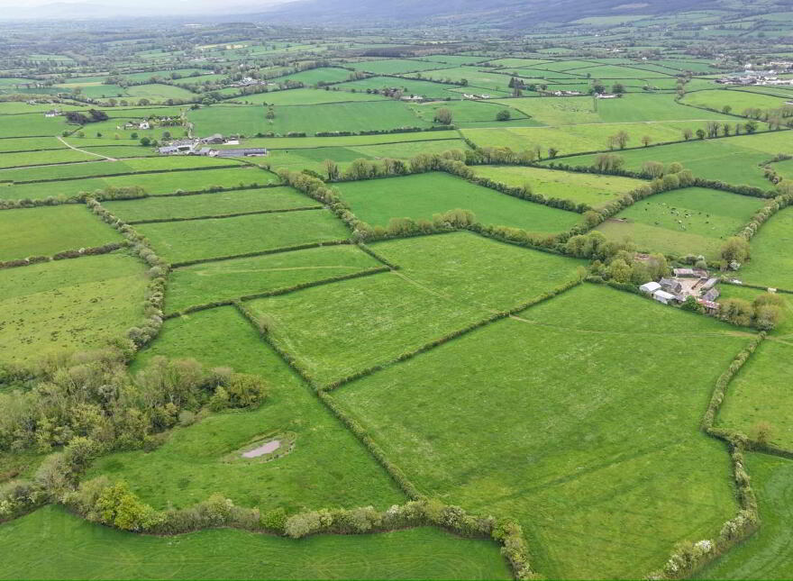 Dangan, Ballyporeen