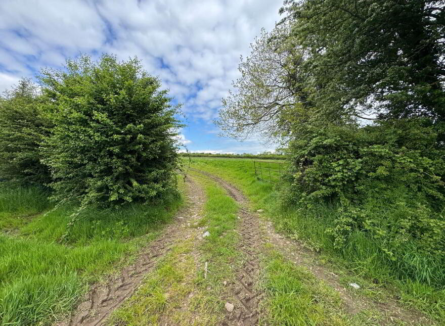Dangan, Ballyporeen