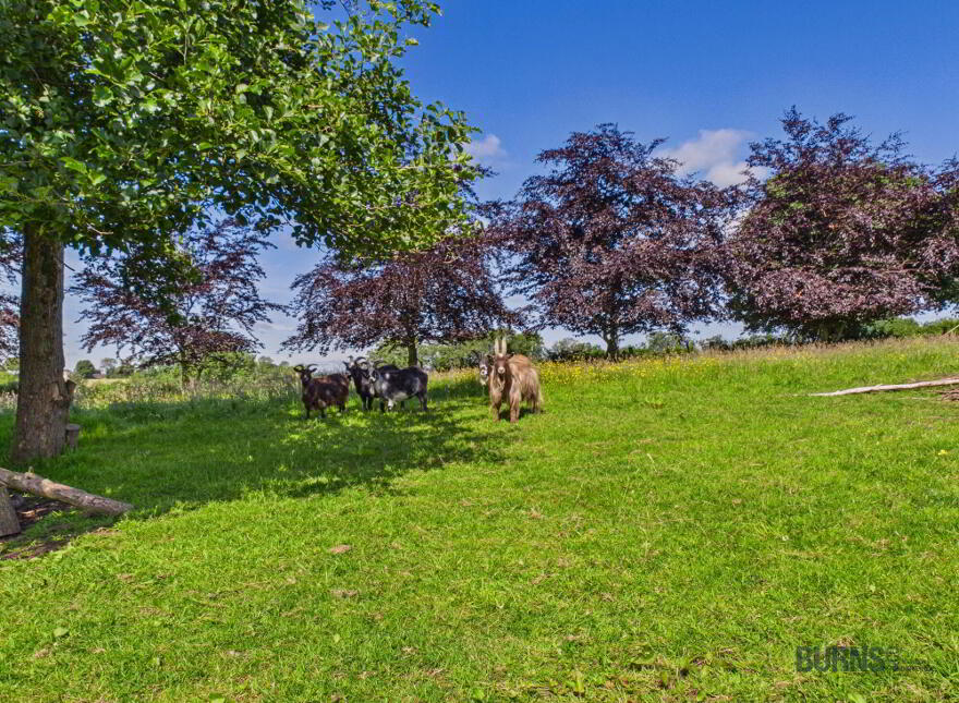 41 Moneyhaw Road, Moneymore, BT45 7XL