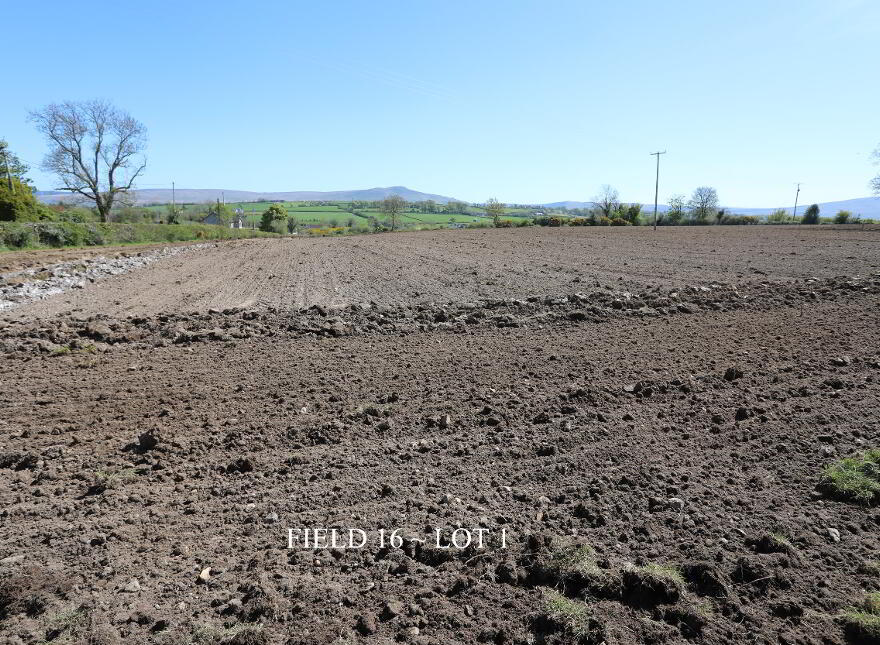 29 Carrick Avenue, Limavady, BT49 9NL