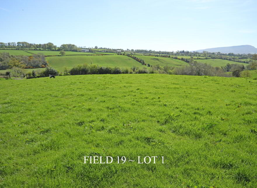 29 Carrick Avenue, Limavady, BT49 9NL