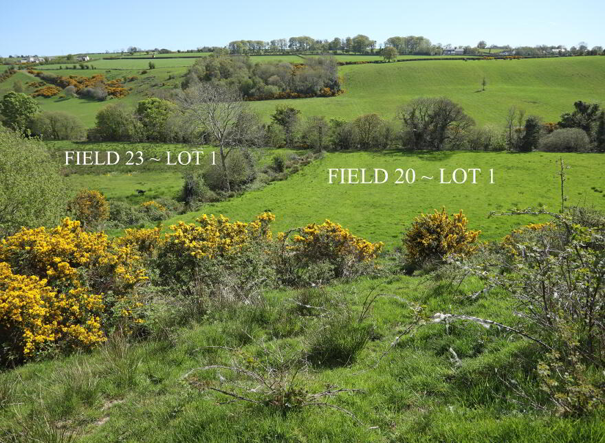 29 Carrick Avenue, Limavady, BT49 9NL