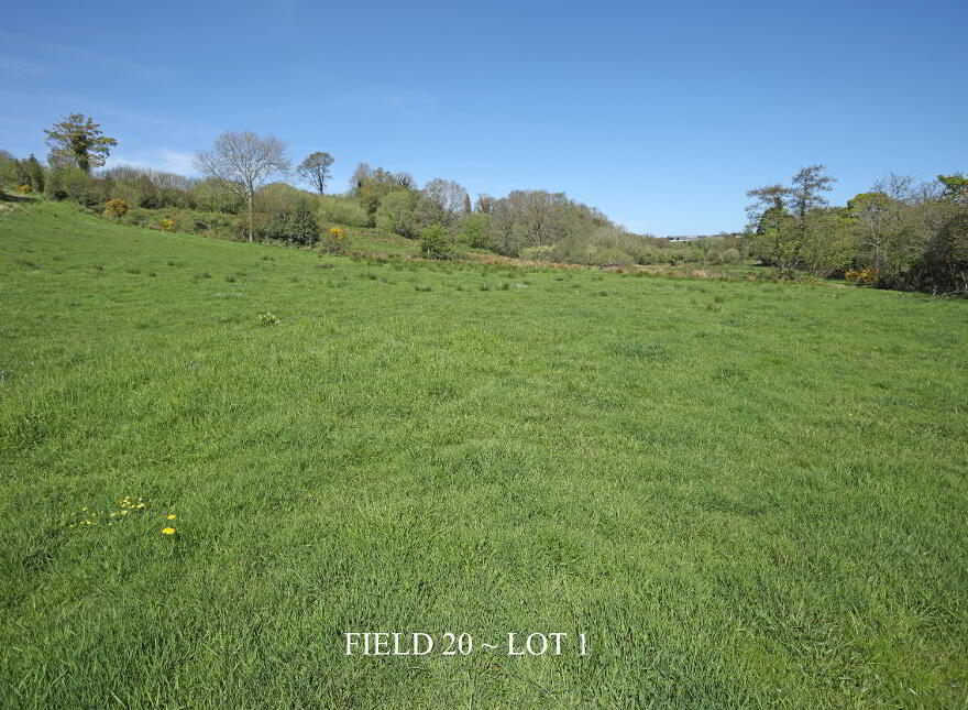 29 Carrick Avenue, Limavady, BT49 9NL