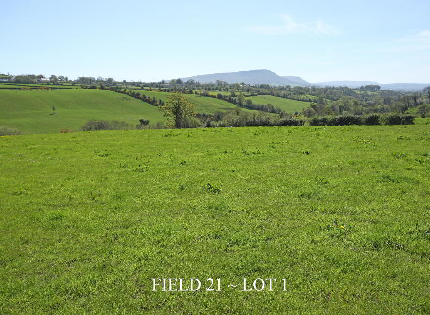 29 Carrick Avenue, Limavady, BT49 9NL