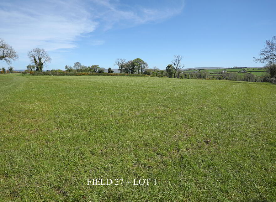 29 Carrick Avenue, Limavady, BT49 9NL