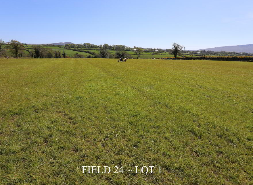 29 Carrick Avenue, Limavady, BT49 9NL