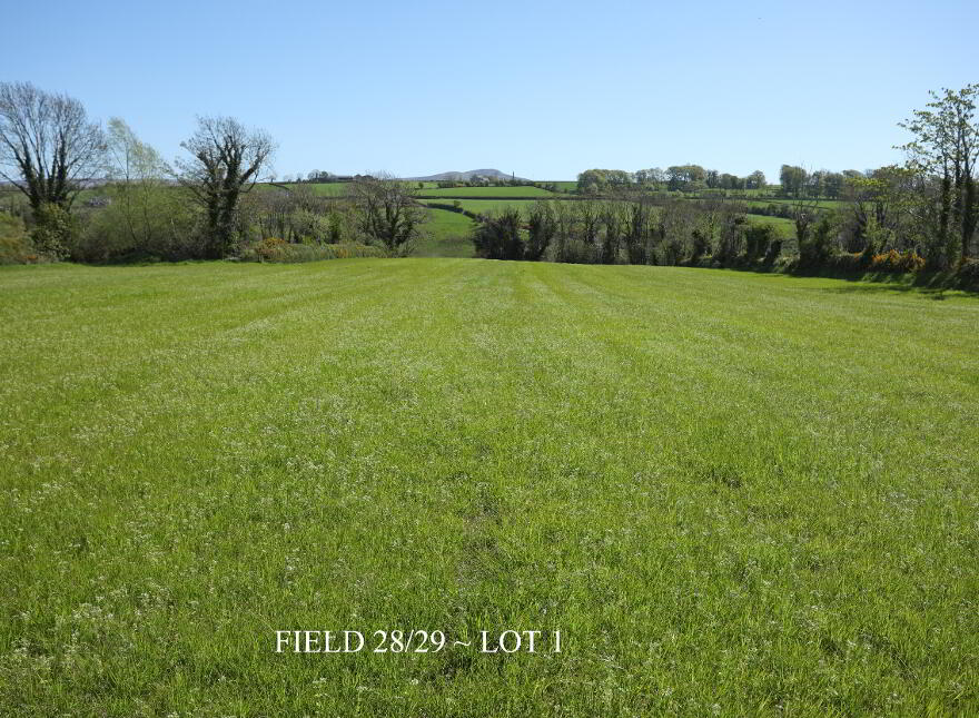 29 Carrick Avenue, Limavady, BT49 9NL