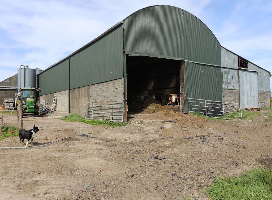 29 Carrick Avenue, Limavady, BT49 9NL