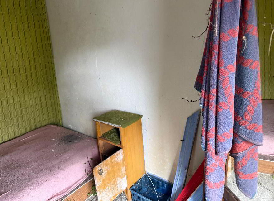 The Colony, Dingle, V92H763