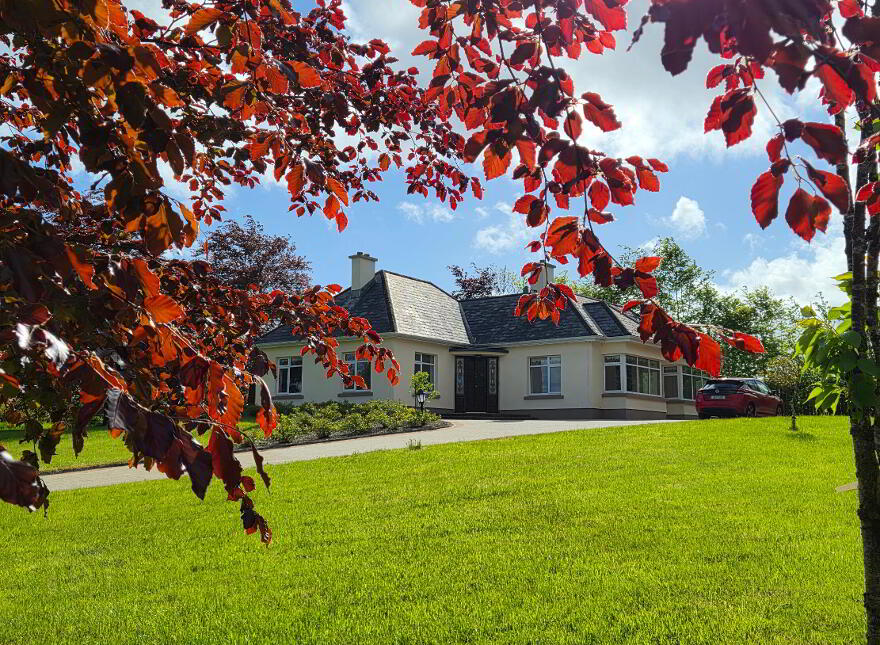 Lurga, Leitrim Village, Carrick On Shannon, N41RW60