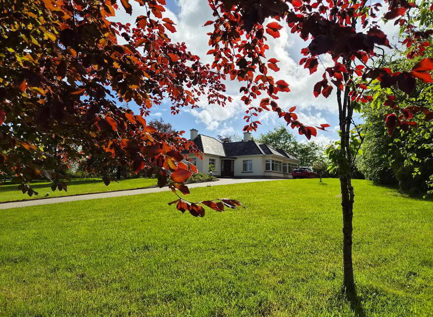 Lurga, Leitrim Village, Carrick On Shannon, N41RW60