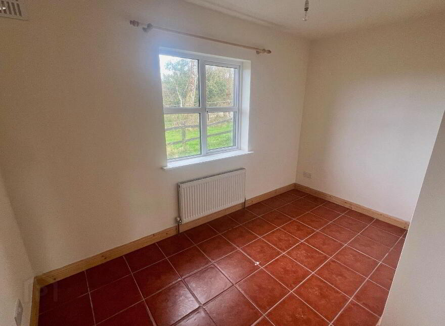 1 Drumgeaglom, Leitrim, N41V652