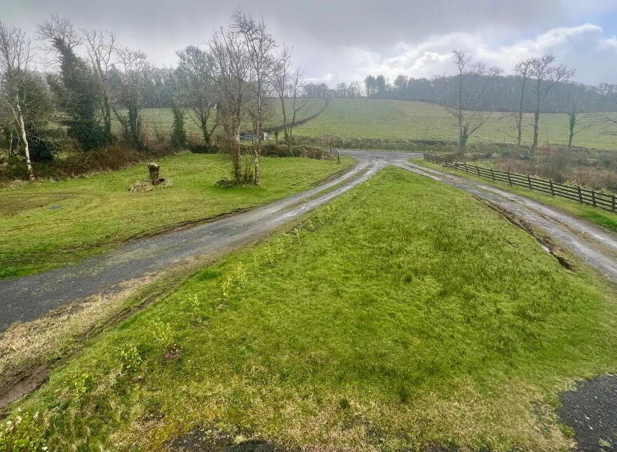 1 Drumgeaglom, Leitrim, N41V652