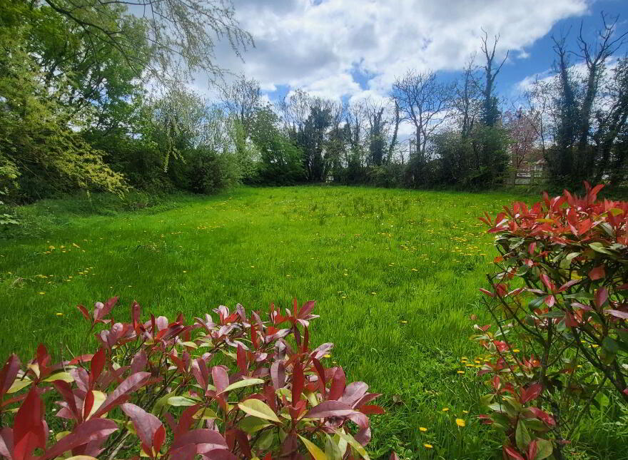 Antfield Cottage, Antfield, Aughamore, Aghamore, N41FW74