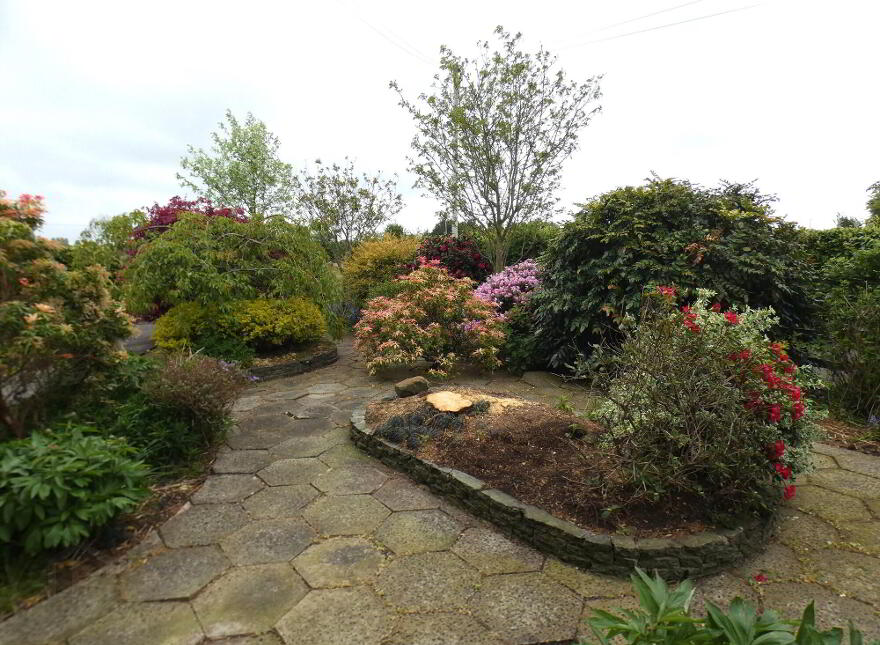 Parkmore, 44 Ballybrakes Road, Ballymoney, BT53 7PL