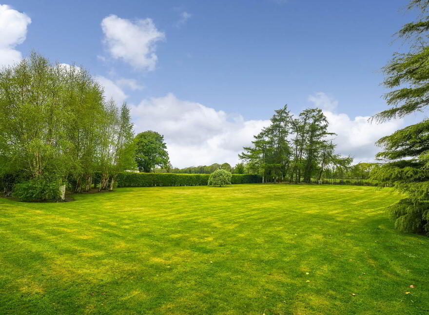 Clonmore, Kildalkey, C15VW88
