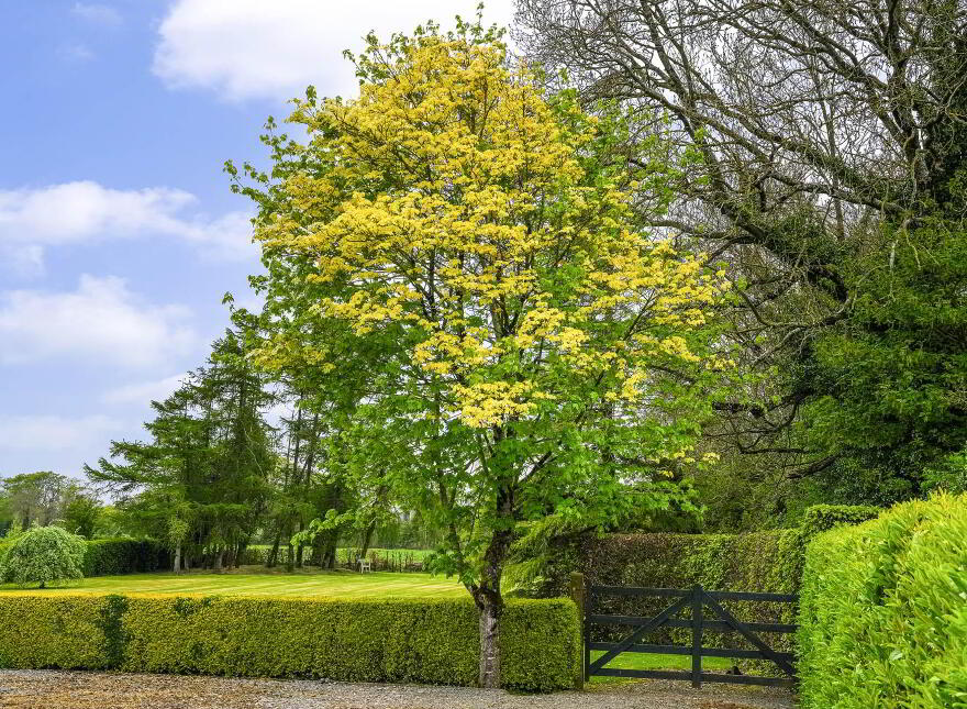 Clonmore, Kildalkey, C15VW88